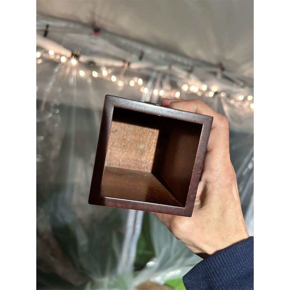 Vintage Wood & Brass Bombay Company Box with Emblem Classic Style - Picture 6 of 7